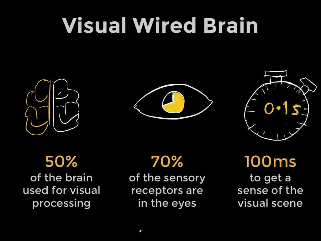 The Visual Brain