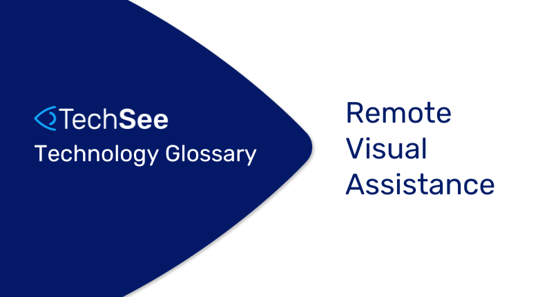 Remote Visual Assistance