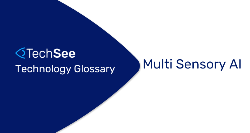 What is Multi Sensory AI?